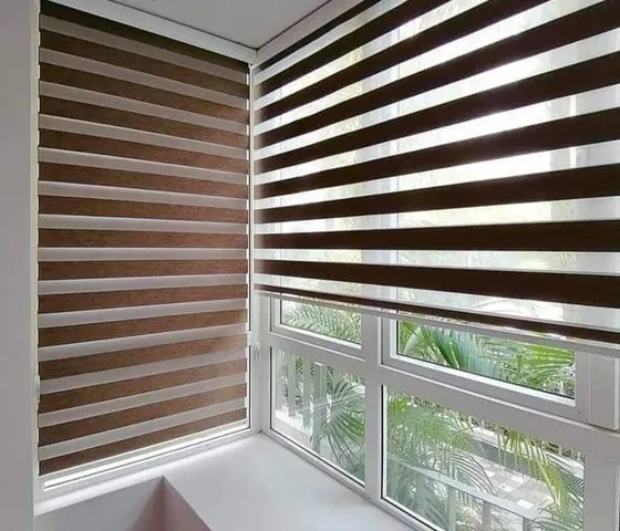Duo blinds