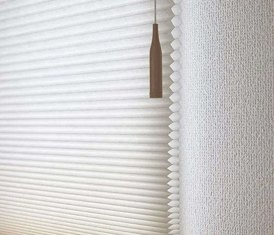 Pleated blinds